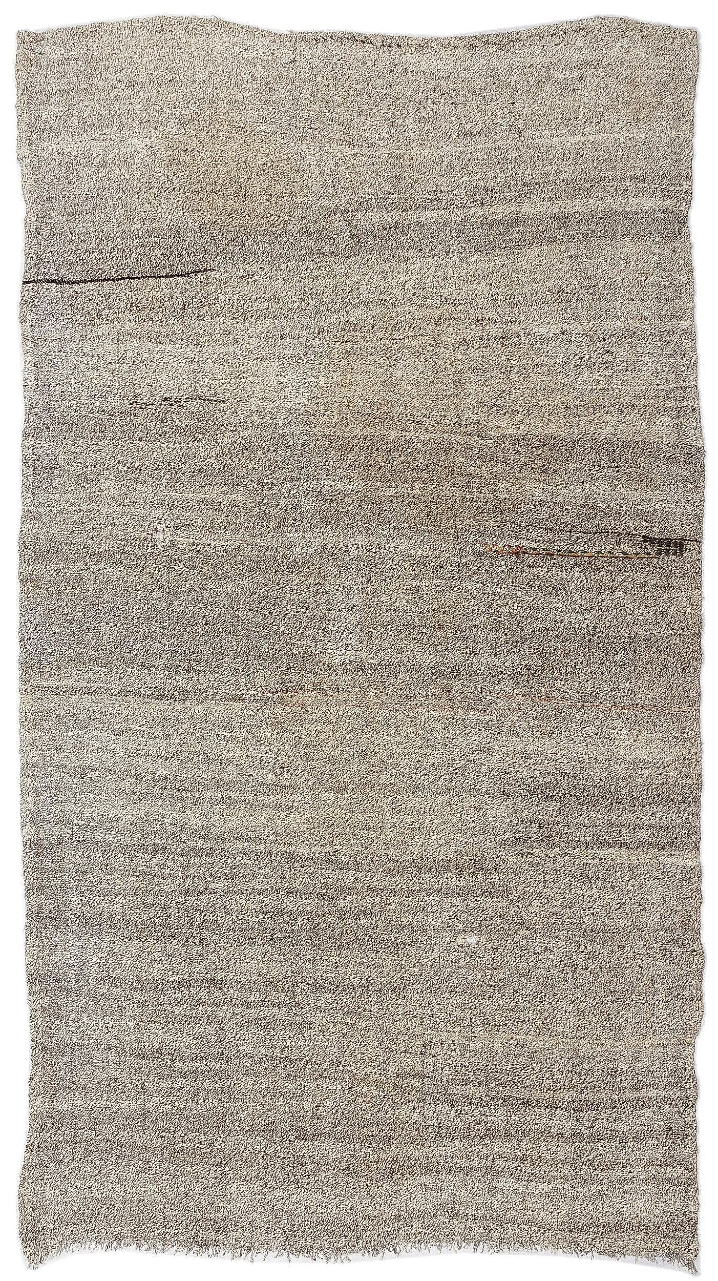 Apex Kilim Chaput 0746 164 cm X 313 cm