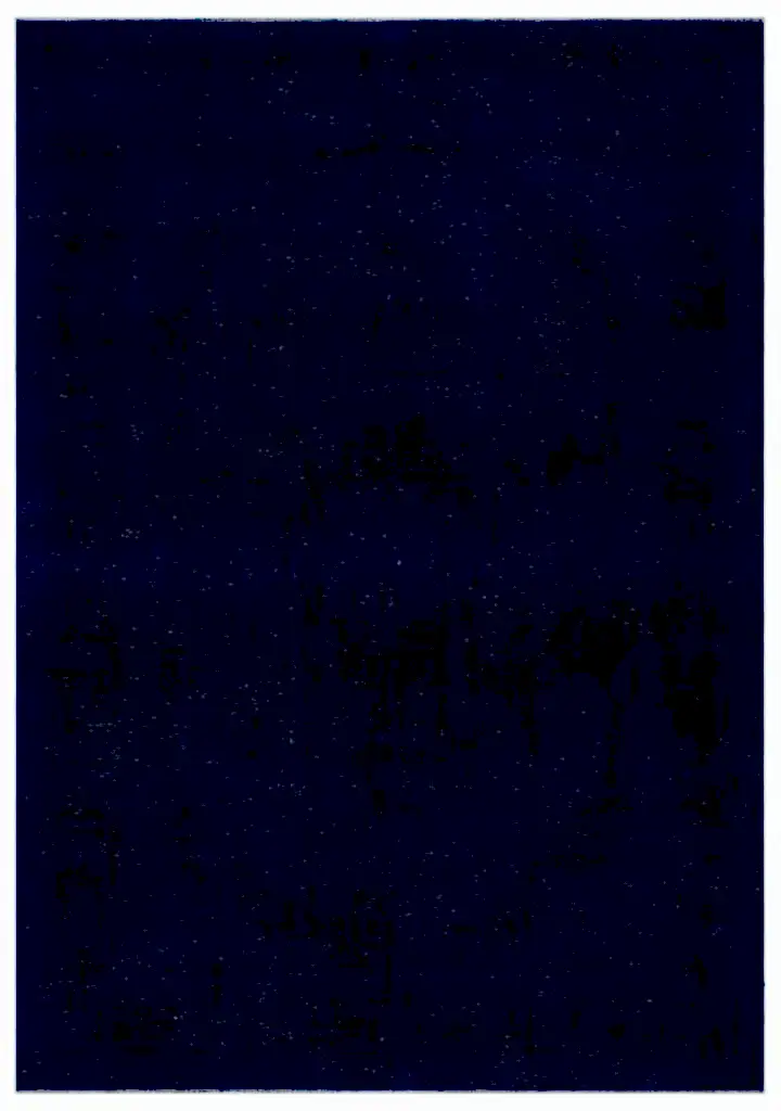 Apex Vintage XLarge Mavi 24554 284 x 407 cm