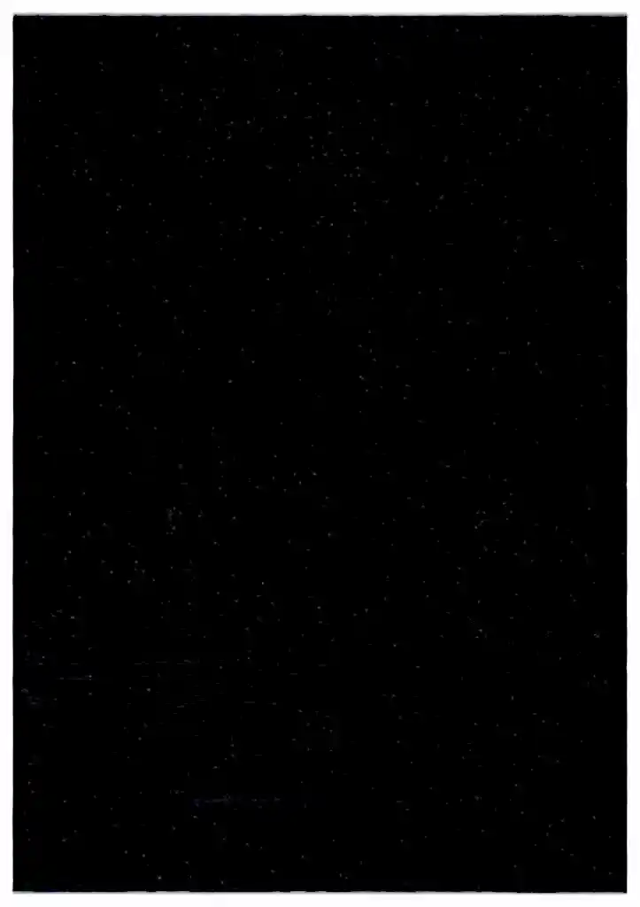 Apex Vintage XLarge Siyah 24572 291 x 418 cm